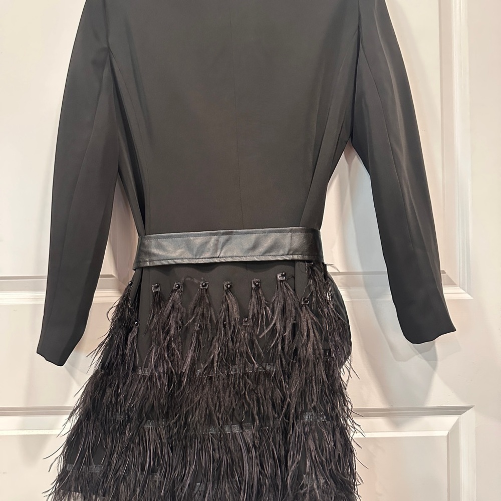 ZCRAVE Fifth Ave Feathers Dress - Picture 12 of 17